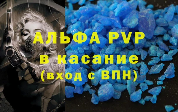 крисы Абаза