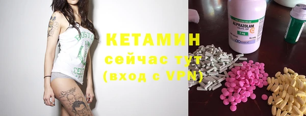 крисы Абаза