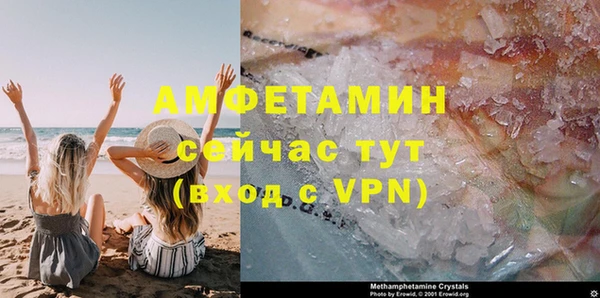 крисы Абаза