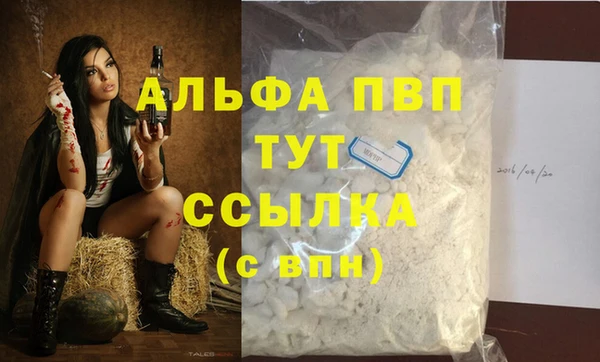 крисы Абаза