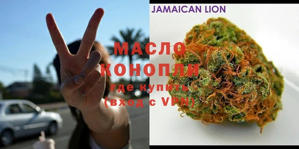 крисы Абаза