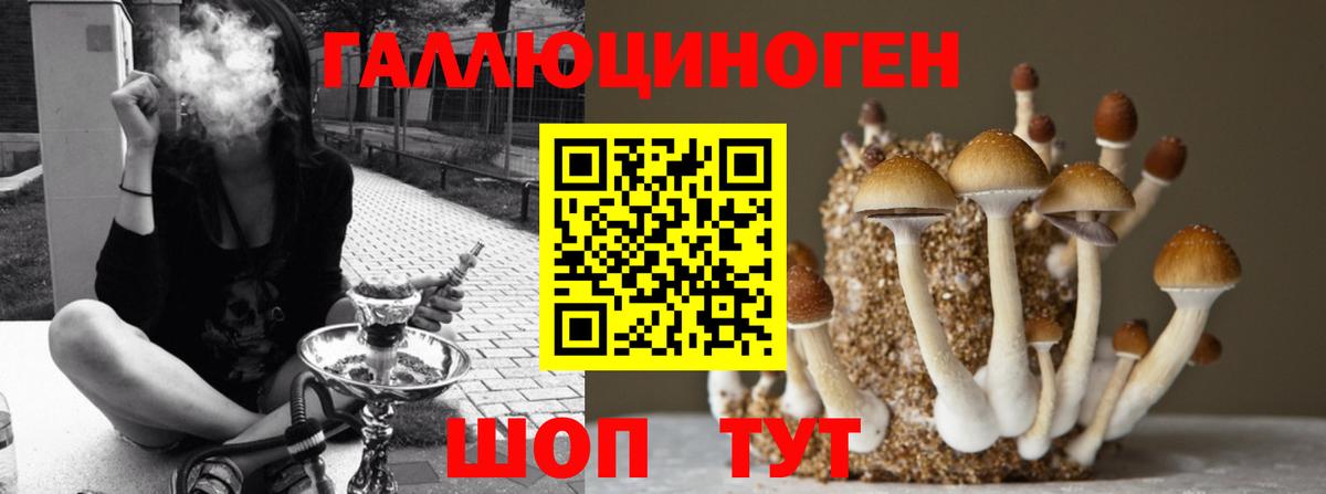 Галлюциногенные грибы MAGIC MUSHROOMS Нижнекамск